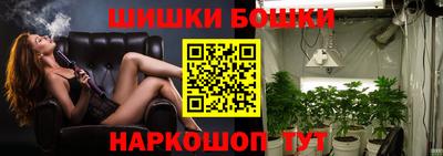 индика Комсомольск-на-Амуре