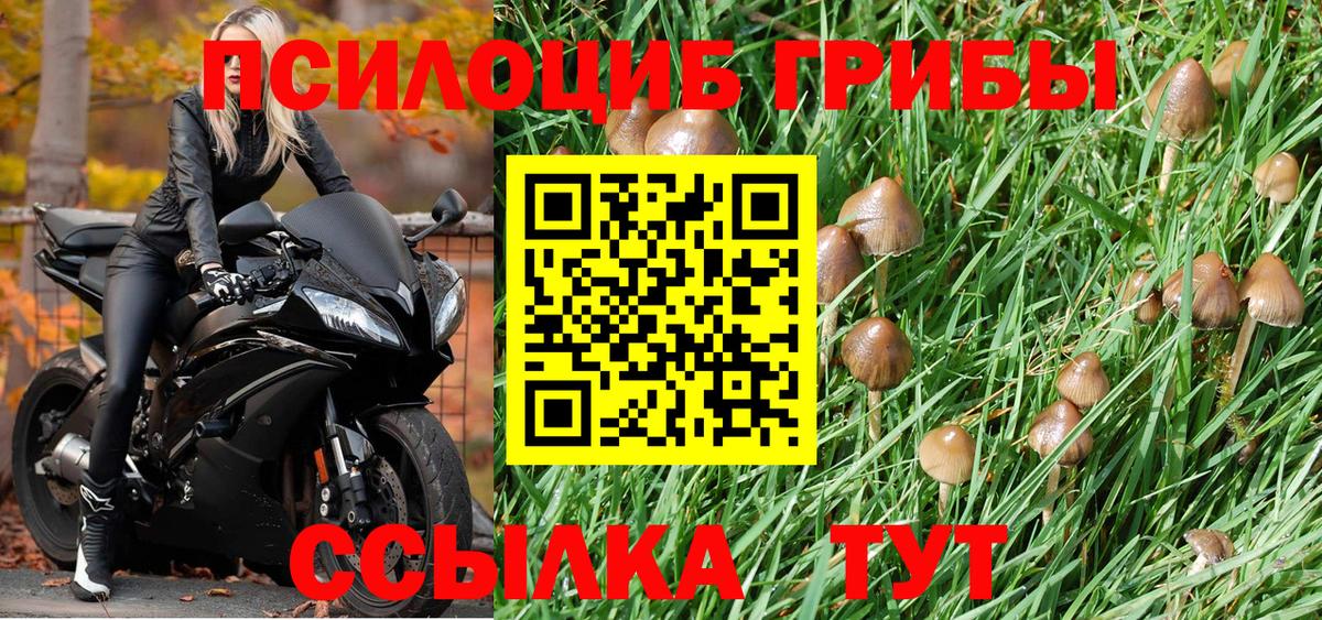 Красногорск  Псилоцибиновые грибы прущие грибы  купить наркоту  Вход с VPN  Псилоцибиновые грибы ЛСД 